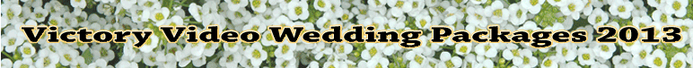 Victory Video logo
